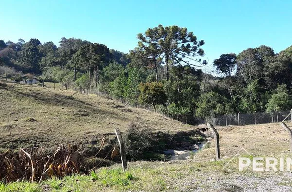 Terreno  para  Venda Cruzeiro Caxias do Sul