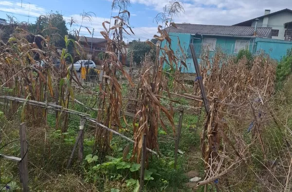 Terreno para venda,  Cruzeiro, Caxias Do Sul