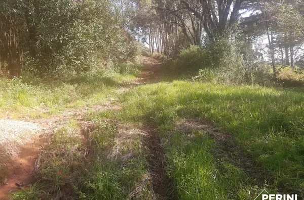 Chácara Nossa Senhora das Graças