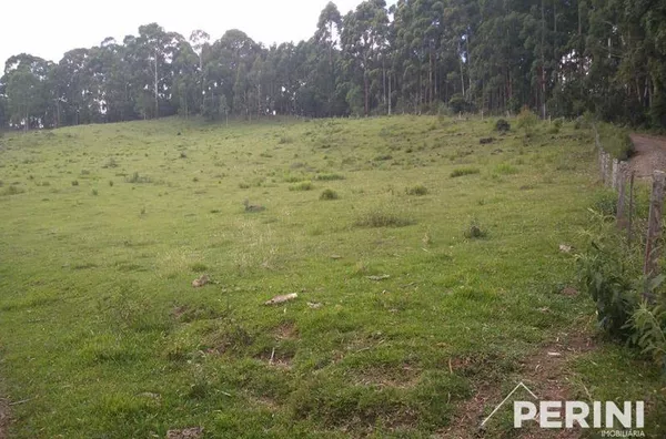 Chácara  para  Venda Fazenda Souza Caxias do Sul