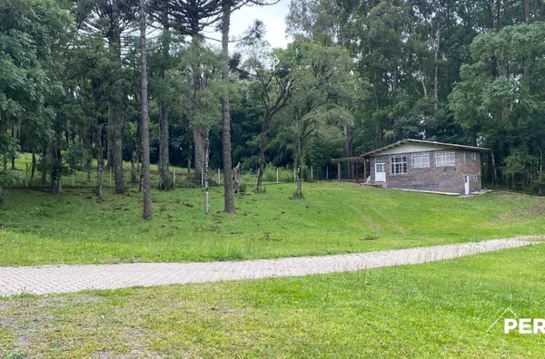 Chácara para venda,  Pedancino, Caxias Do Sul