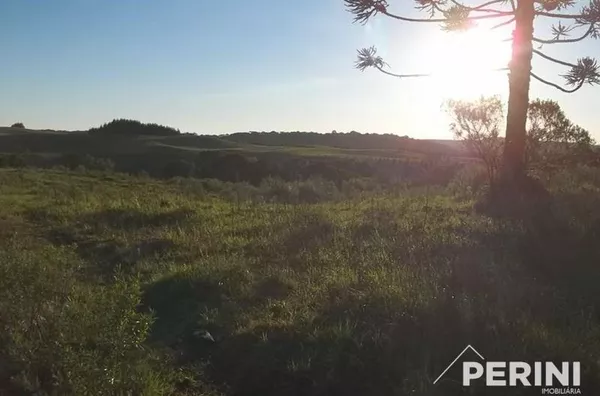 Chácara  para  Venda Vila Oliva Caxias do Sul