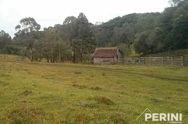 Chácara  para  Venda Fazenda Souza Caxias do Sul
