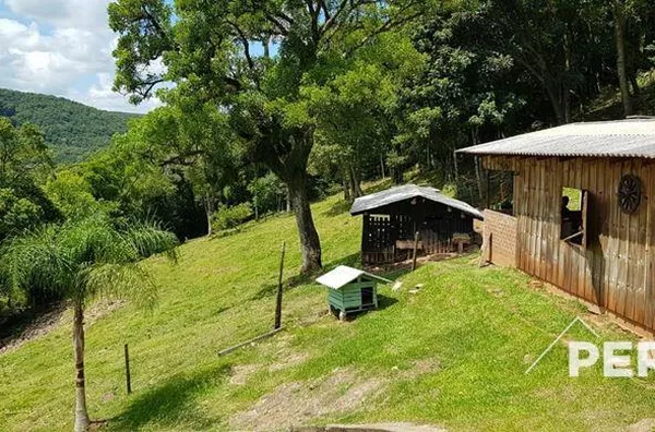 Chácara  para  Venda Caravagio 6º Legua Caxias do Sul