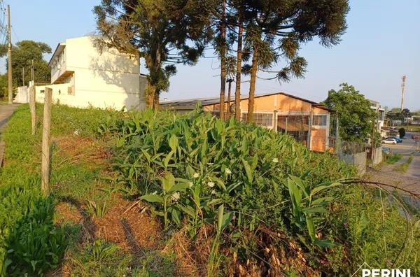Terreno para venda,  Bela Vista, Caxias Do Sul