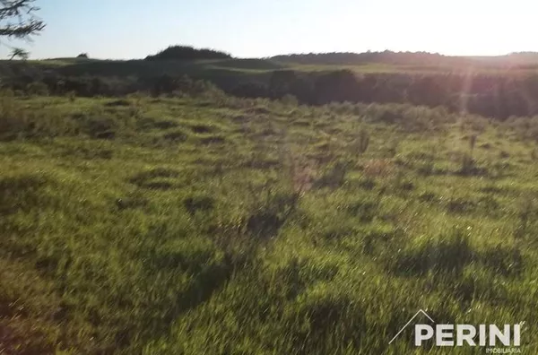 Chácara  para  Venda Vila Oliva Caxias do Sul