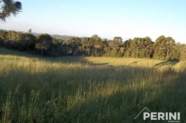 Chácara  para  Venda Vila Oliva Caxias do Sul