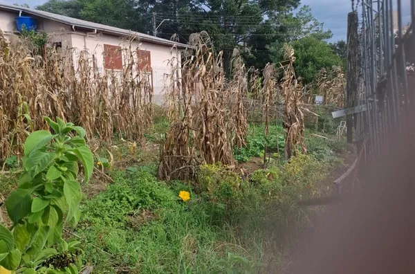 Terreno para venda,  Cruzeiro, Caxias Do Sul