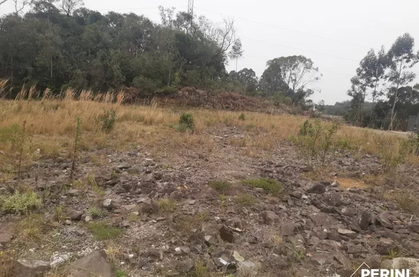 Terreno para venda,  São Luiz, Caxias Do Sul