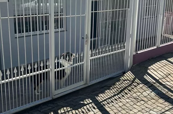 Casa para venda, Cruzeiro, Caxias Do Sul - Foto 18