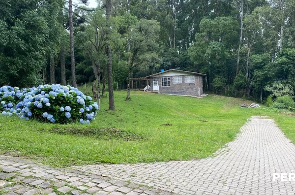 Chácara para venda,  Pedancino, Caxias Do Sul