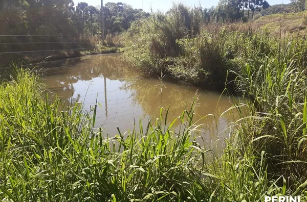 Chácara para venda,  São Braz, Caxias Do Sul