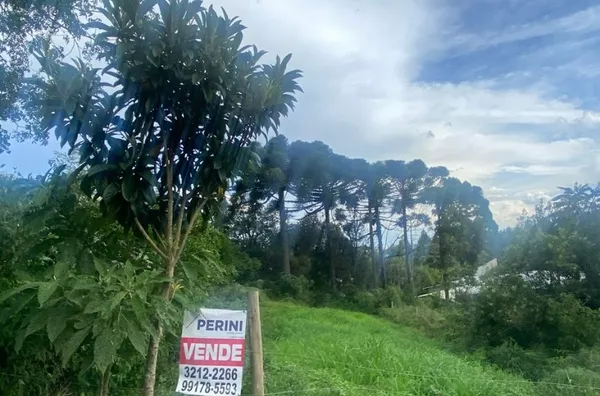 TERRENO PRESIDENTE VARGAS