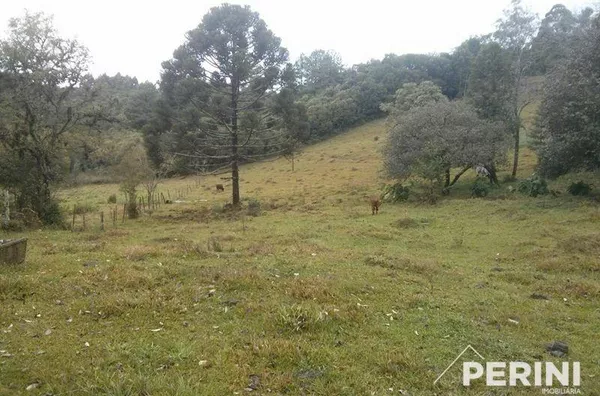 Chácara  para  Venda Fazenda Souza Caxias do Sul