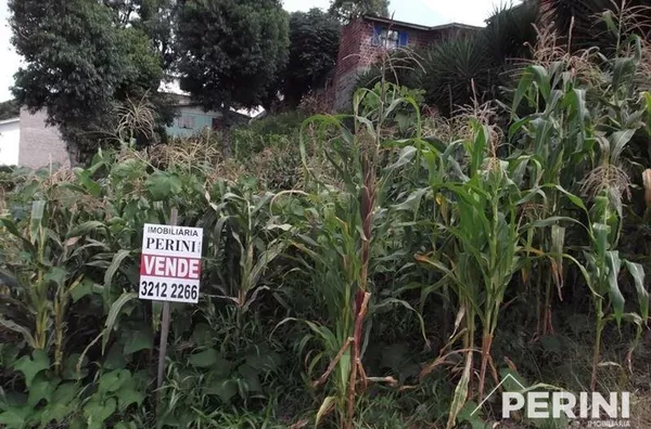 Terreno  para  Venda Cruzeiro Caxias do Sul