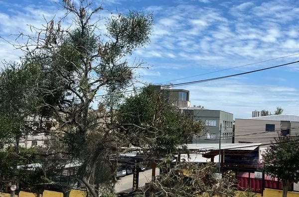 Apartamento para venda,  Centro, Caxias Do Sul