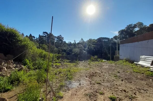 Terreno para venda,  Forqueta, Caxias Do Sul