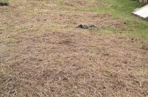 Terreno  para  Venda Vila Lobos Caxias do Sul