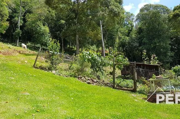 Chácara  para  Venda Caravagio 6º Legua Caxias do Sul