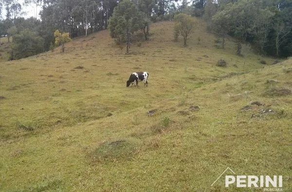 Chácara  para  Venda Fazenda Souza Caxias do Sul