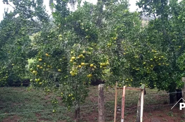 - área de terra para venda,  Santa Lucia Do Piaí, Caxias Do Sul