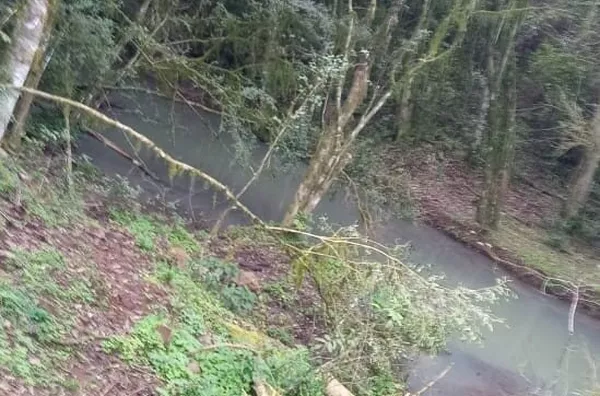 - área de terra para venda,  Santa Lucia Do Piaí, Caxias Do Sul