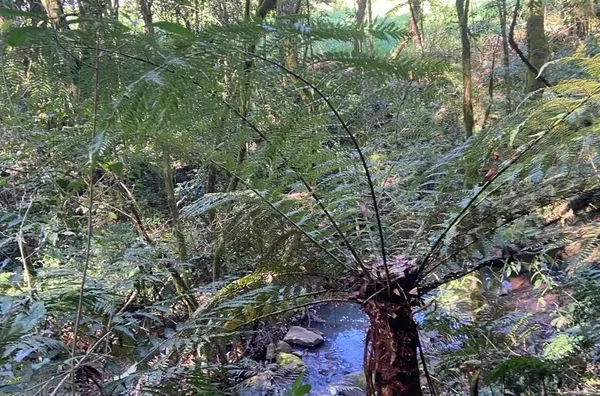 Chácara para venda,  São Luiz, Caxias Do Sul