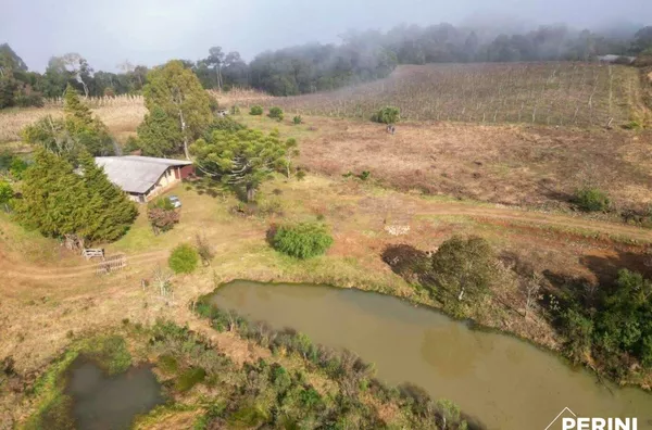 Sítio para venda,  - Selecione - Bairro, Caxias Do Sul