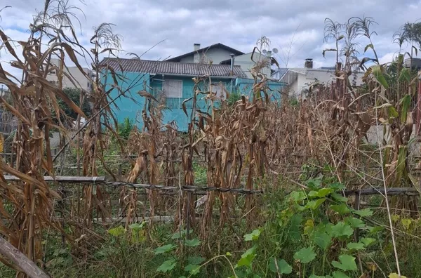 Terreno para venda,  Cruzeiro, Caxias Do Sul