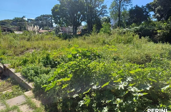 Terreno para venda,  Bela Vista, Caxias Do Sul