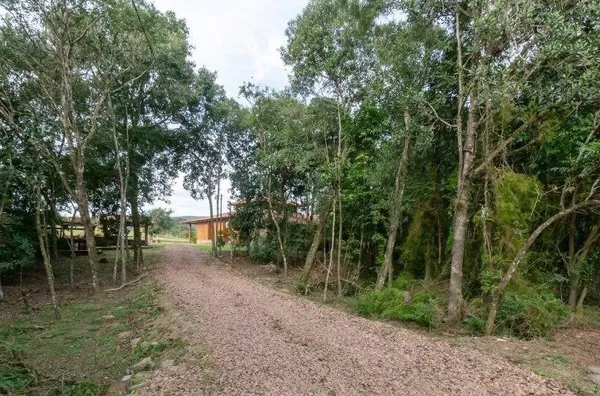 Sítio - Bairro Lageado 