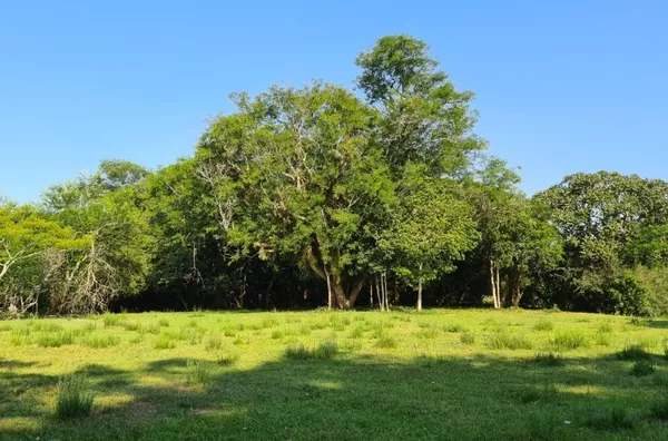 Sítio - Bairro Lami 