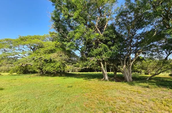 Sítio - Bairro Lami 