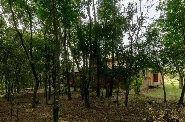 Sítio - Bairro Lageado 