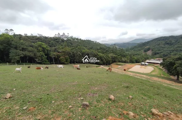 Sítio Com 98.000 M² Para Venda, Warnow, Indaial