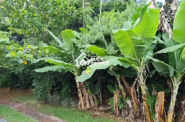 Amplo terreno na Itoupava Norte