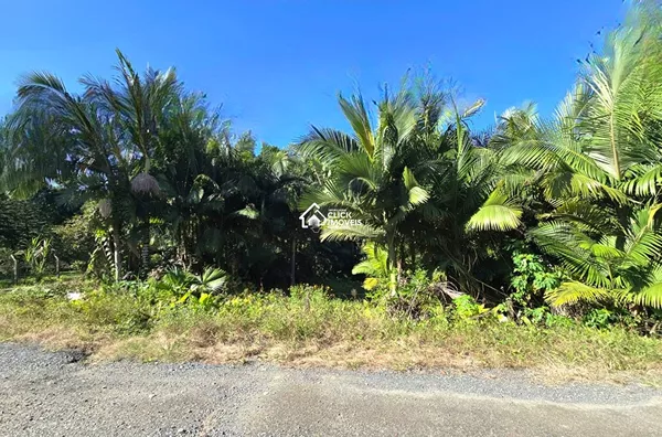 Amplo Terreno à Venda no Bairro Fidélis – Blumenau