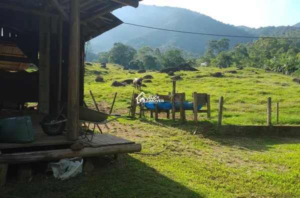 Sítio Pronto em  Rio Dos Cedros
