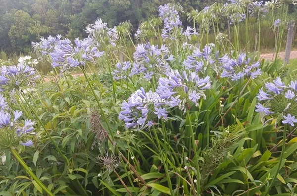 São 2 terrenos por 620 mil reais