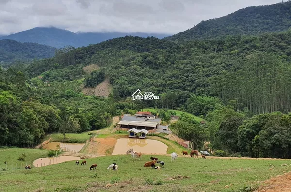 Sítio Com 98.000 M² Para Venda, Warnow, Indaial