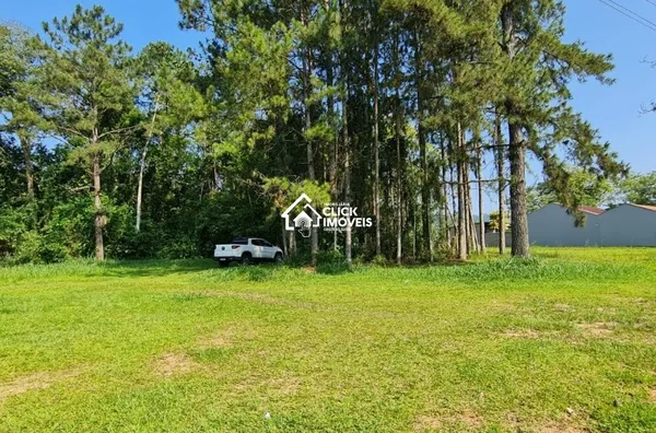 Terreno para venda,  Itoupava Central, Blumenau