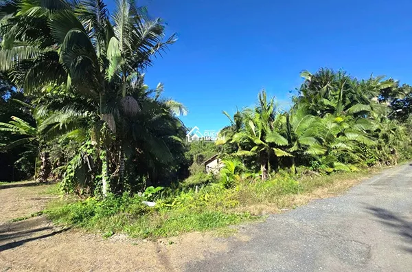 Amplo Terreno à Venda no Bairro Fidélis – Blumenau
