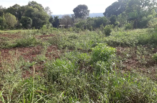 Sítio á venda localizado na Linha Florestinha 