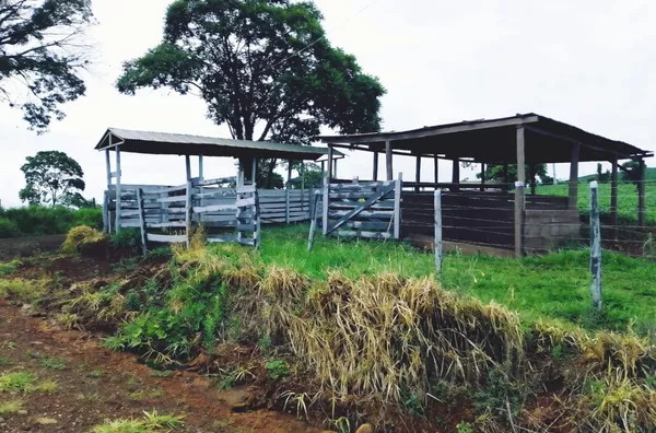 Sítio á venda localizado na cabeceira do Pinhal 