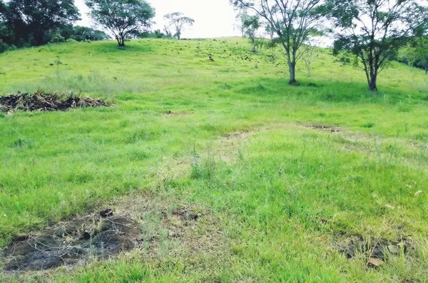 Sítio á venda localizado na cabeceira do Pinhal 