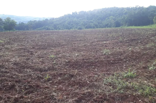 Sítio á venda localizado na Linha Florestinha 
