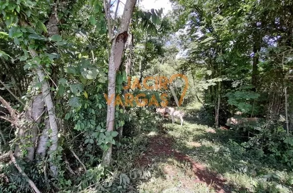 Chácara á venda localizada na Linha Alto Paraíso 