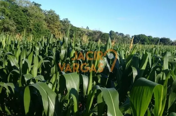 Sítio á venda localizado na Barra Bonita 