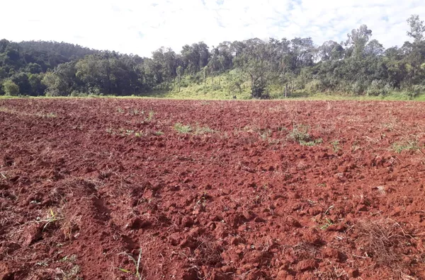 Sítio á venda localizado na Linha Florestinha 