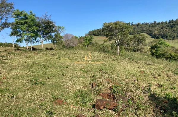 Área 2.6 alqueires com pastagem pronta no Marcianópolis